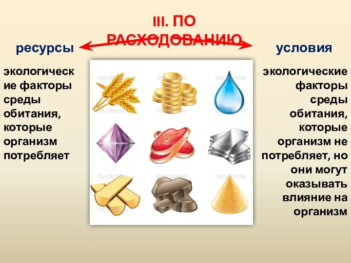 III. ПО РАСХОДОВАНИЮ ресурсы условия экологические факторы среды обитания, которые