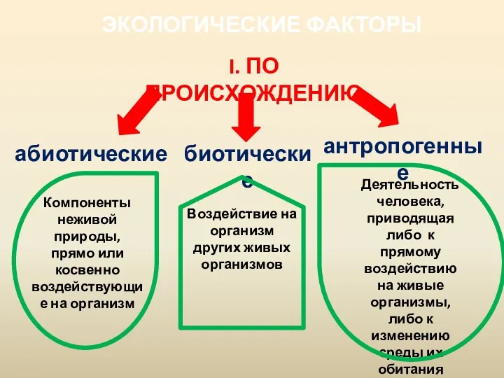 ЭКОЛОГИЧЕСКИЕ ФАКТОРЫ абиотические биотические антропогенные I. ПО ПРОИСХОЖДЕНИЮ