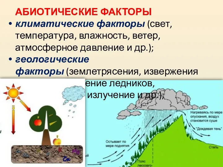 АБИОТИЧЕСКИЕ ФАКТОРЫ климатические факторы (свет, температура, влажность, ветер, атмосферное давление