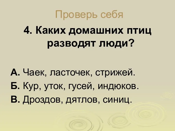 Проверь себя 4. Каких домашних птиц разводят люди? А. Чаек,