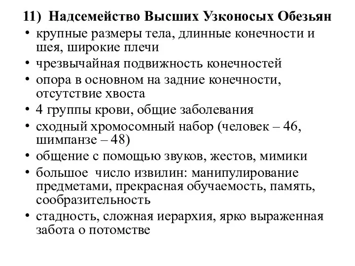 11) Надсемейство Высших Узконосых Обезьян крупные размеры тела, длинные конечности