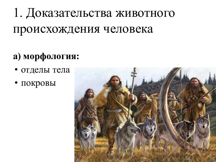 1. Доказательства животного происхождения человека а) морфология: отделы тела покровы