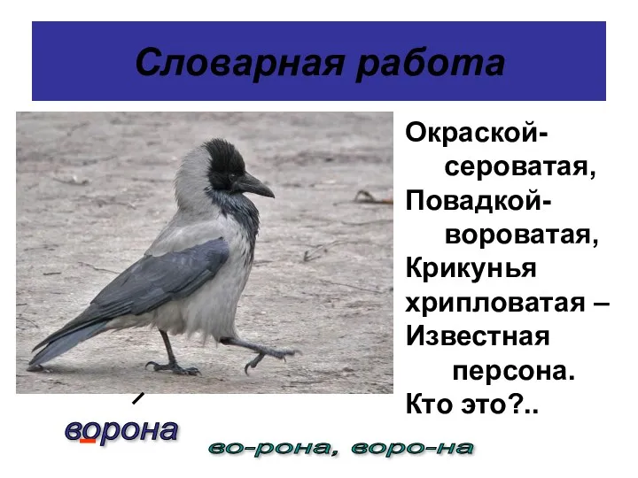 Словарная работа Окраской- сероватая, Повадкой- вороватая, Крикунья хрипловатая – Известная персона. Кто это?.. ворона во-рона, воро-на