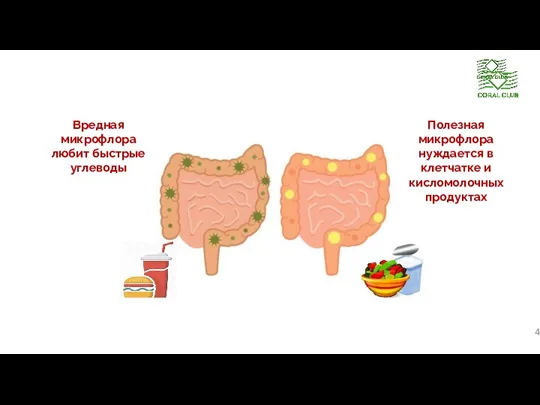 Вредная микрофлора любит быстрые углеводы Полезная микрофлора нуждается в клетчатке и кисломолочных продуктах