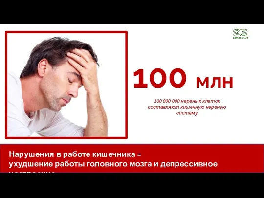 100 млн 100 000 000 нервных клеток составляют кишечную нервную