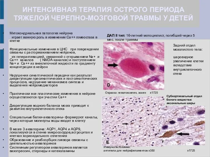 ИНТЕНСИВНАЯ ТЕРАПИЯ ОСТРОГО ПЕРИОДА ТЯЖЕЛОЙ ЧЕРЕПНО-МОЗГОВОЙ ТРАВМЫ У ДЕТЕЙ Митохондриальная