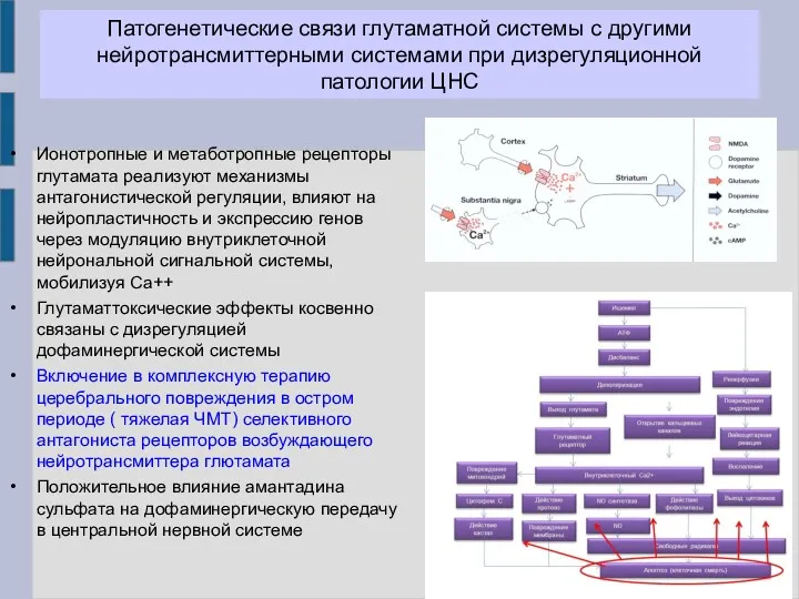 Патогенетические связи глутаматной системы с другими нейротрансмиттерными системами при дизрегуляционной