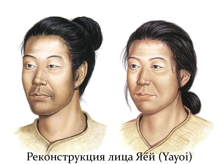 Реконструкция лица Яёй (Yayoi)