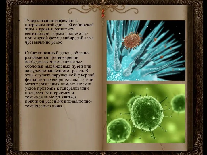 Генерализация инфекции с прорывом возбудителей сибирской язвы в кровь и развитием септической формы