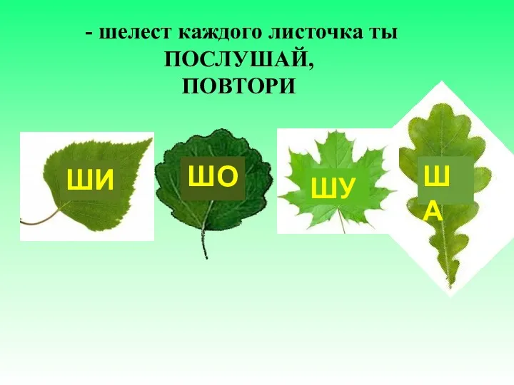 - шелест каждого листочка ты ПОСЛУШАЙ, ПОВТОРИ ШИ ШО ШУ ША