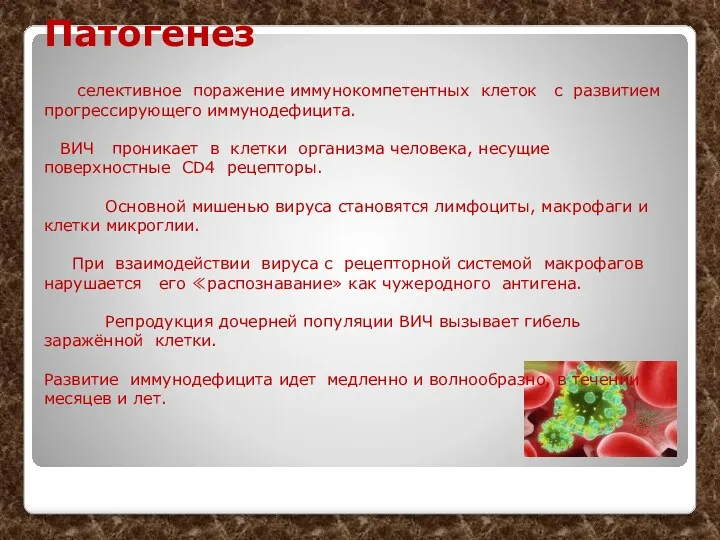 Патогенез селективное поражение иммунокомпетентных клеток с развитием прогрессирующего иммунодефицита. ВИЧ