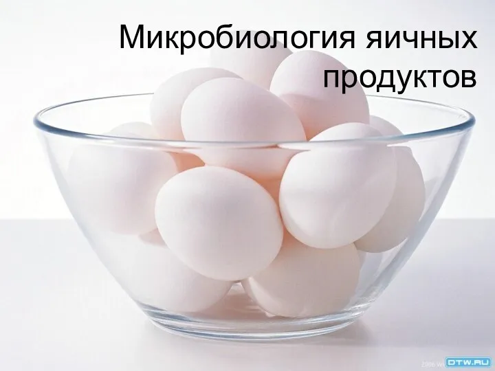 Микробиология яичных продуктов