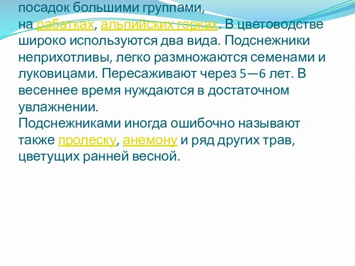 КУЛьтивируют как декоративные. Используют для посадок большими группами, на рабатках,