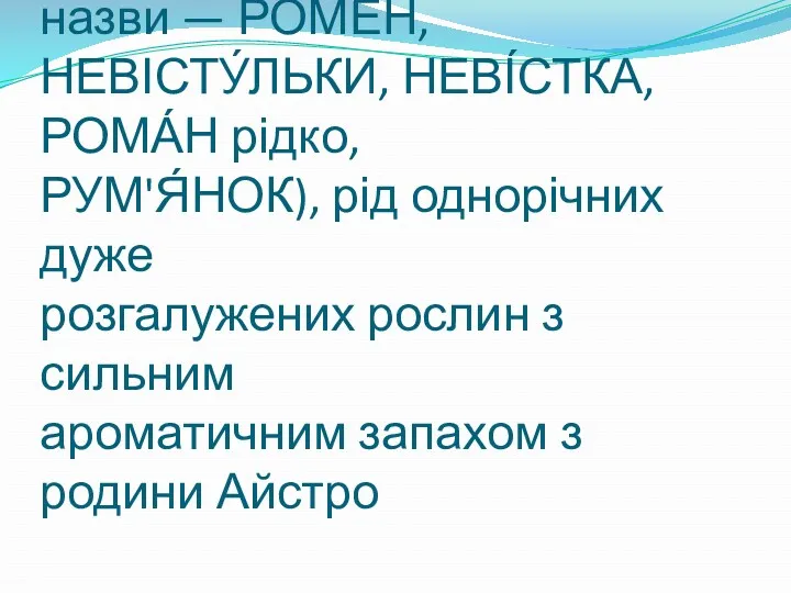 Ромашка (Matricaria L.; інші назви — РОМЕ́Н, НЕВІСТУ́ЛЬКИ, НЕВІ́СТКА, РОМА́Н