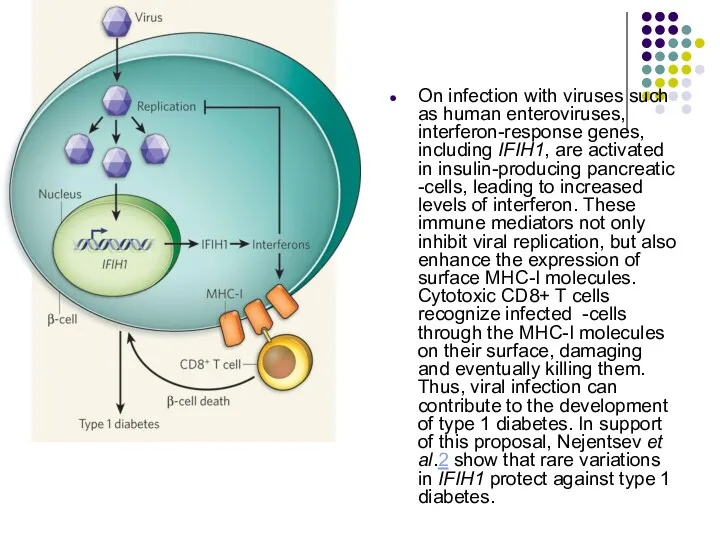 On infection with viruses such as human enteroviruses, interferon-response genes,