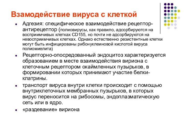 Взамодействие вируса с клеткой Адгезия: специфическое взаимодействие рецептор-антирецептор (полиовирусы, как