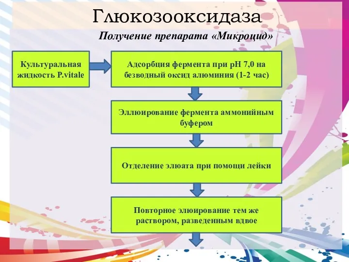 Глюкозооксидаза Получение препарата «Микроцид» Адсорбция фермента при рН 7,0 на