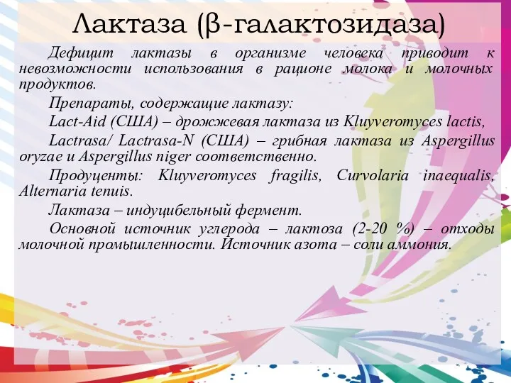 Лактаза (β-галактозидаза) Дефицит лактазы в организме человека приводит к невозможности