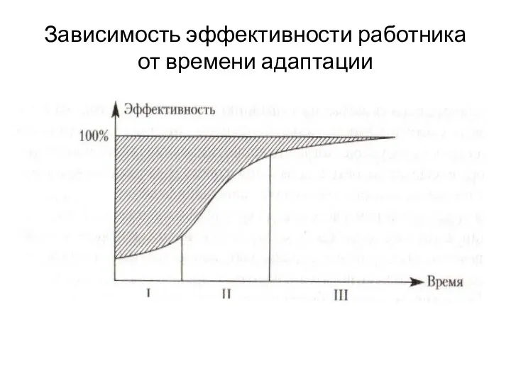 Зависимость эффективности работника от времени адаптации