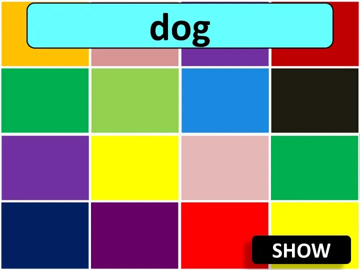 SHOW dog