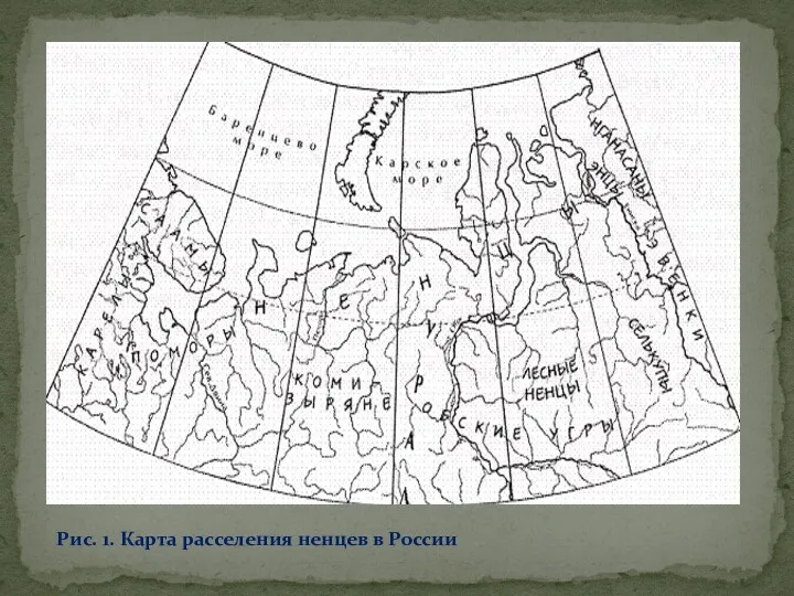 Рис. 1. Карта расселения ненцев в России