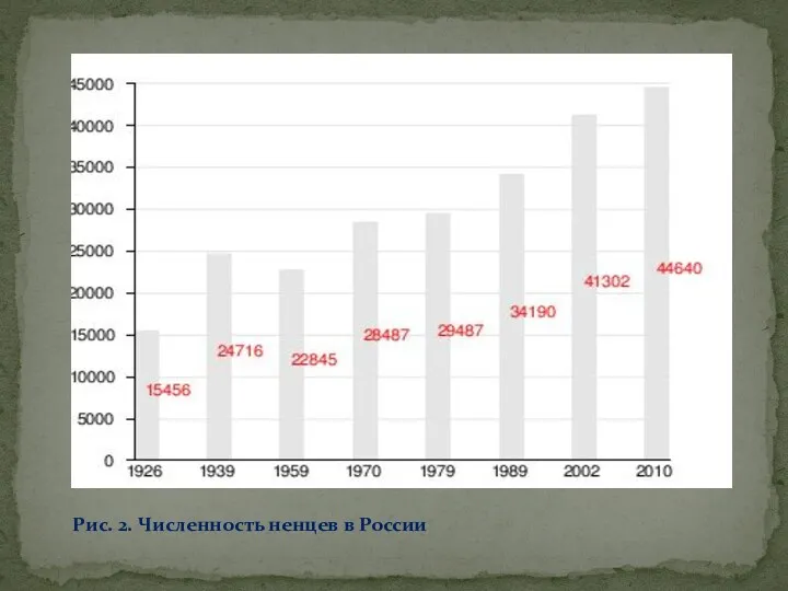 Рис. 2. Численность ненцев в России