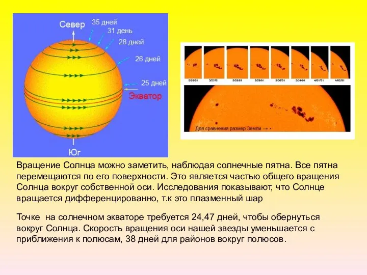 Точке на солнечном экваторе требуется 24,47 дней, чтобы обернуться вокруг Солнца. Скорость вращения