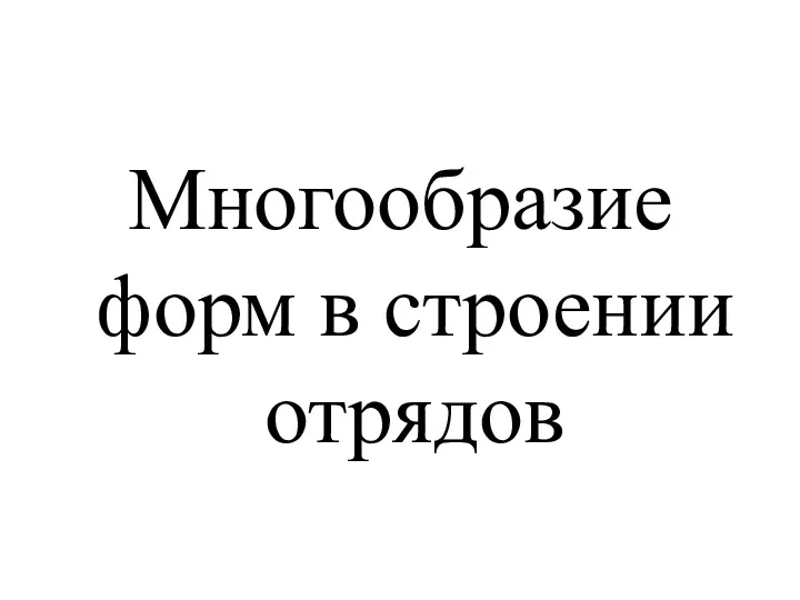 Многообразие форм в строении отрядов