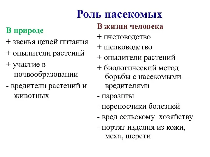 Роль насекомых В природе + звенья цепей питания + опылители