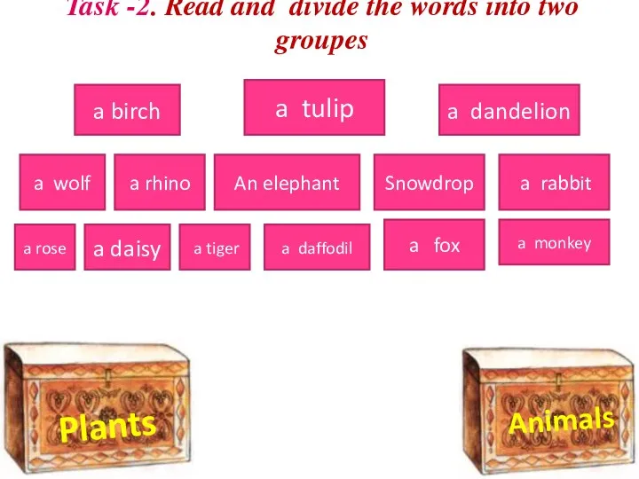 Task -2. Read and divide the words into two groupes