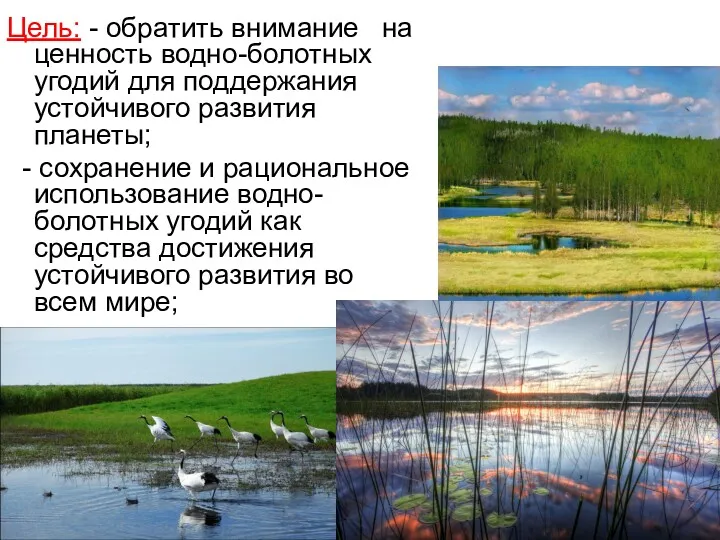 Цель: - обратить внимание на ценность водно-болотных угодий для поддержания