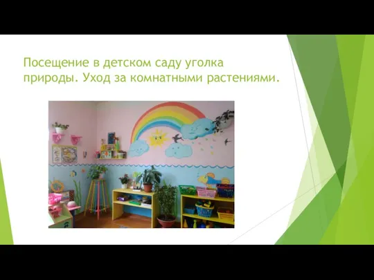 Посещение в детском саду уголка природы. Уход за комнатными растениями.