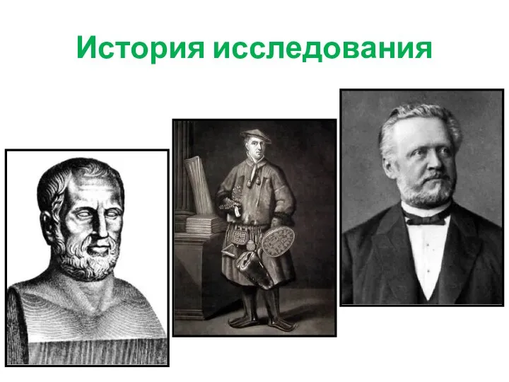 История исследования