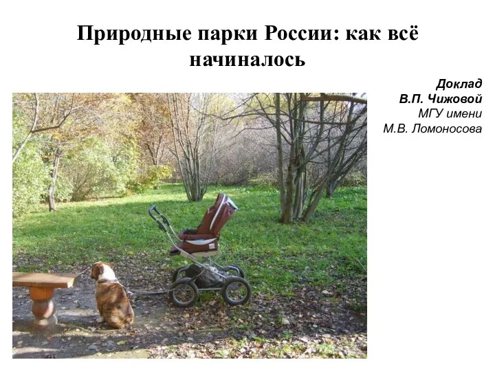 Природные парки России: как всё начиналось Доклад В.П. Чижовой МГУ имени М.В. Ломоносова