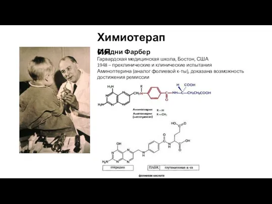 Синдни Фарбер Гарвардская медицинская школа, Бостон, США 1948 – преклинические