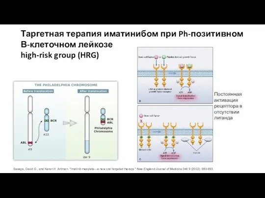 Таргетная терапия иматинибом при Ph-позитивном В-клеточном лейкозе high-risk group (HRG)