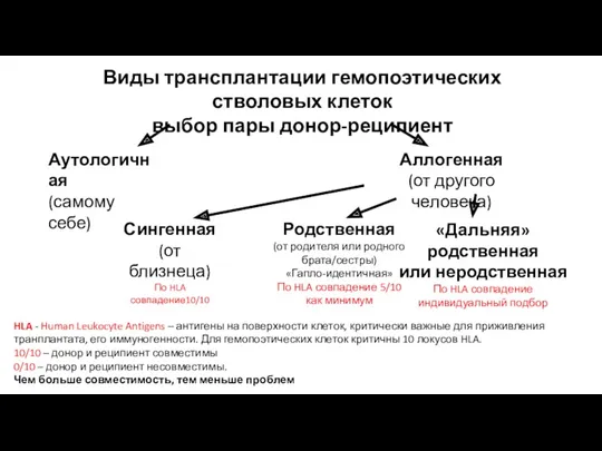 Виды трансплантации гемопоэтических стволовых клеток выбор пары донор-реципиент Аутологичная (самому