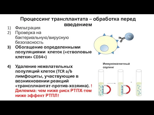 Процессинг транcплантата – обработка перед введением Фильтрация Проверка на бактериальную/вирусную