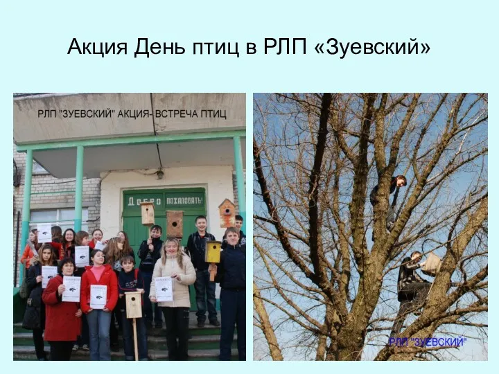 Акция День птиц в РЛП «Зуевский»
