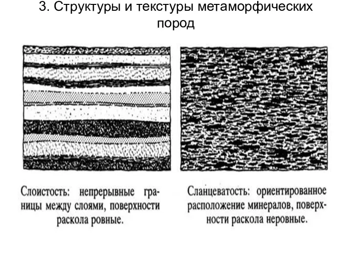 3. Структуры и текстуры метаморфических пород