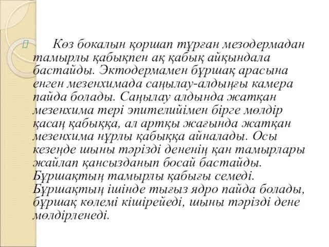 Көз бокалын қоршап тұрған мезодермадан тамырлы қабықпен ақ қабық айқындала