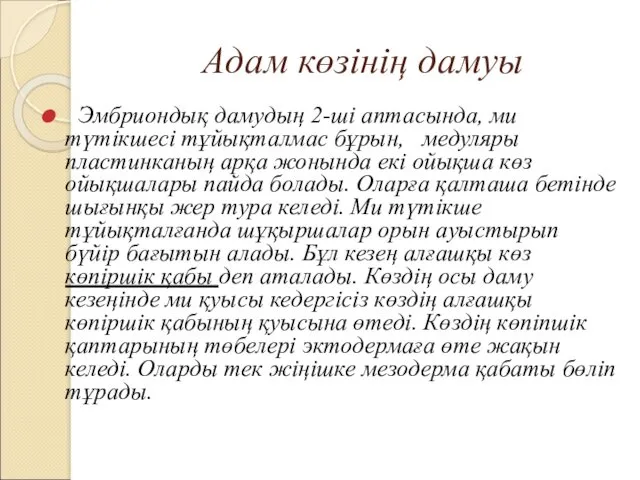 Адам көзінің дамуы Эмбриондық дамудың 2-ші аптасында, ми түтікшесі тұйықталмас