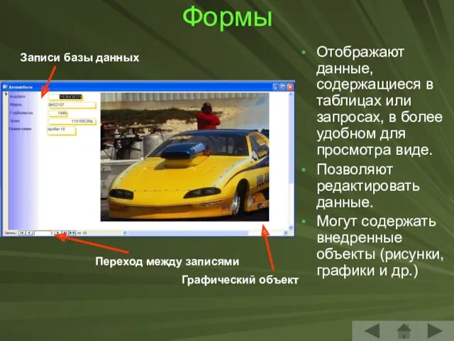 Формы Отображают данные, содержащиеся в таблицах или запросах, в более удобном для просмотра