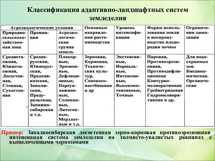 Классификация адаптивно-ландшафтных систем земледелия Пример: Западносибирская лесостепная зерно-кормовая противоэрозионная интенсивная