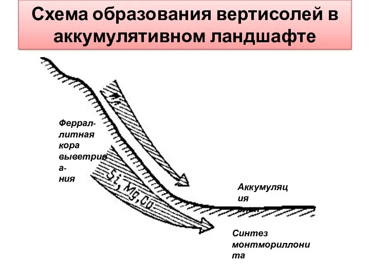 Схема образования вертисолей в аккумулятивном ландшафте Аккумуляция глин Синтез монтмориллонита Феррал- литная кора выветрива- ния