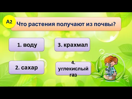 1. воду 3. крахмал Что растения получают из почвы? А2 2. сахар 4. углекислый газ