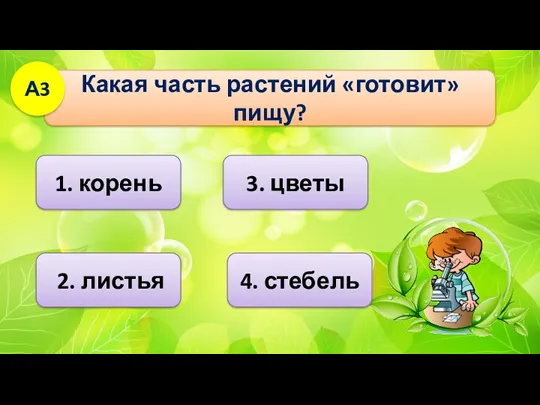 1. корень Какая часть растений «готовит» пищу? А3 2. листья 3. цветы 4. стебель