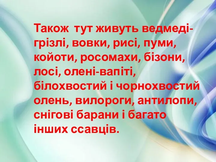 Також тут живуть ведмеді-грізлі, вовки, рисі, пуми, койоти, росомахи, бізони,