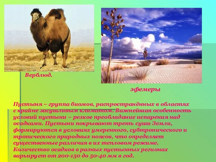 Верблюд. эфемеры Пустыня – группа биомов, распространённых в областях с крайне засушливым климатом.