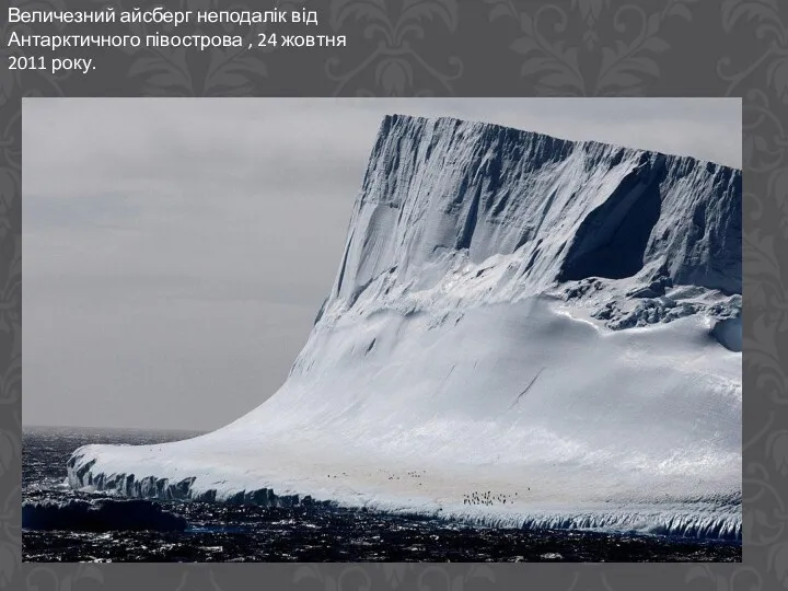 Величезний айсберг неподалік від Антарктичного півострова , 24 жовтня 2011 року.